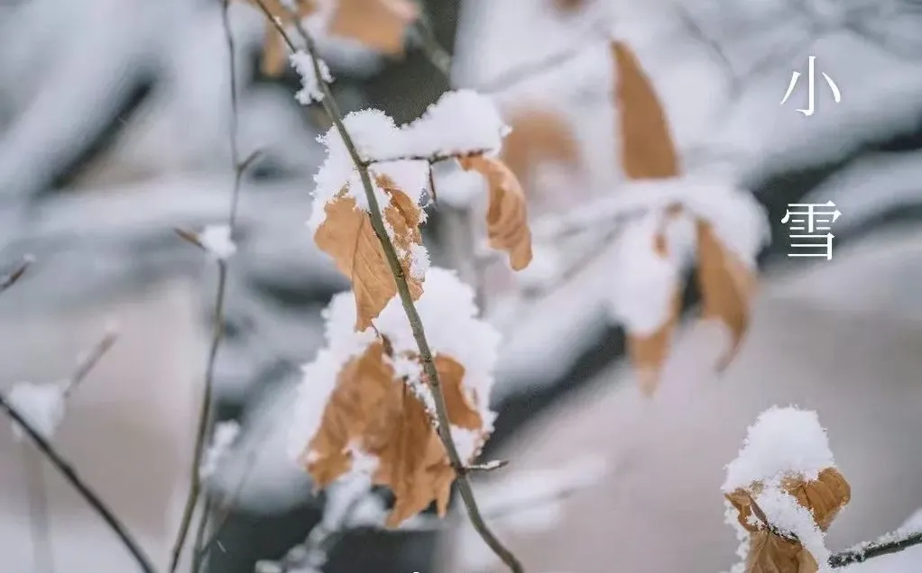 Kleiner Schnee – Was Sie wissen sollten