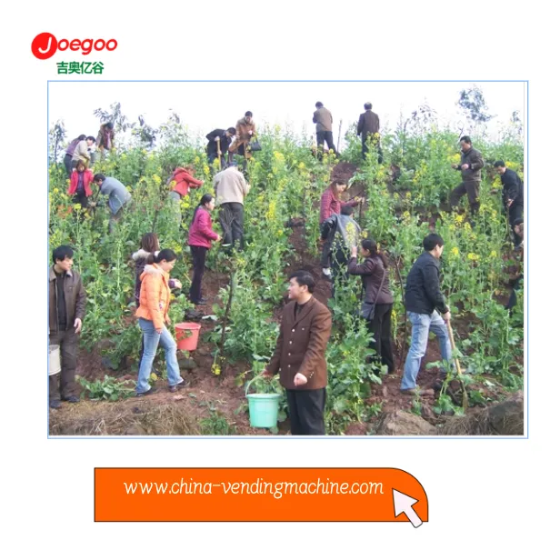 Die Exportabteilung der Jeogoo Company organisierte eine freiwillige Aktivitä...